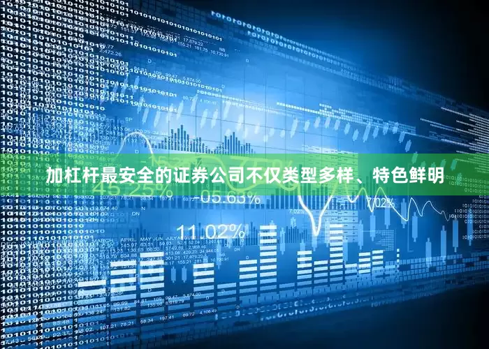 加杠杆最安全的证券公司不仅类型多样、特色鲜明