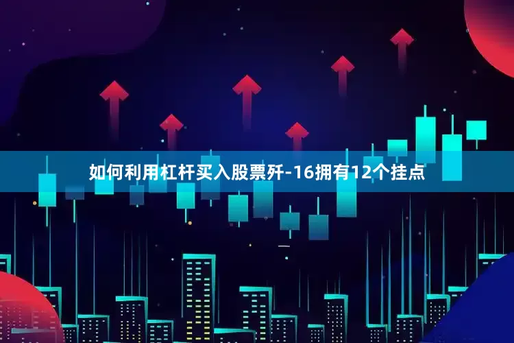 如何利用杠杆买入股票歼-16拥有12个挂点
