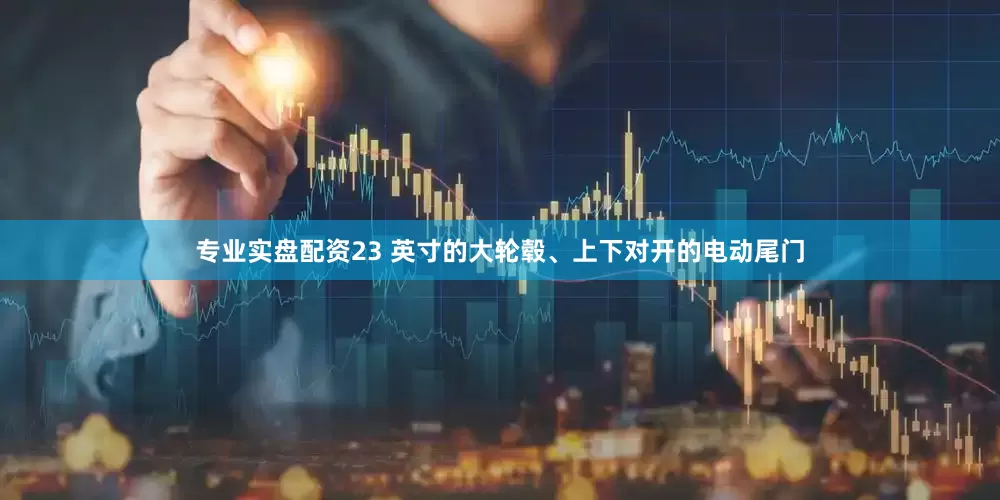 专业实盘配资23 英寸的大轮毂、上下对开的电动尾门