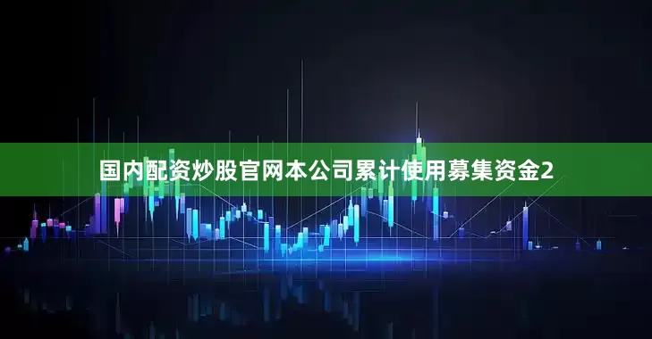 国内配资炒股官网本公司累计使用募集资金2